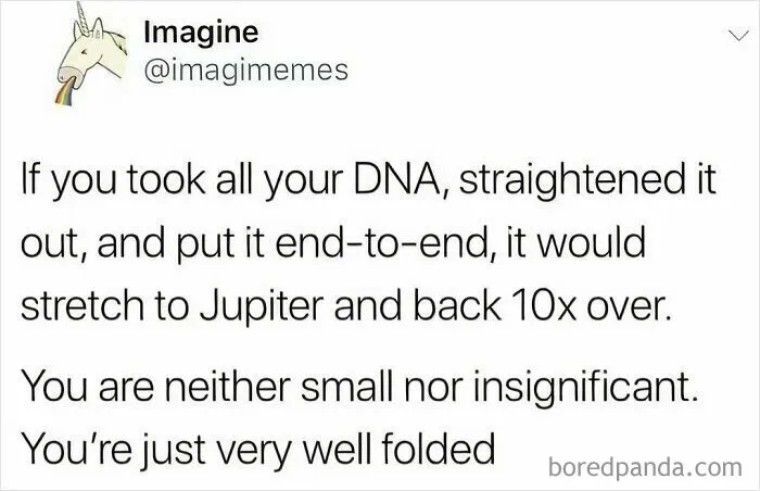50 Funny Memes If You Like All Kinds Of Science