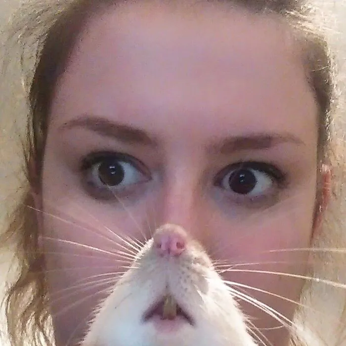 Una rata me hizo photobomb... Ahora soy... la Mujer Rata
