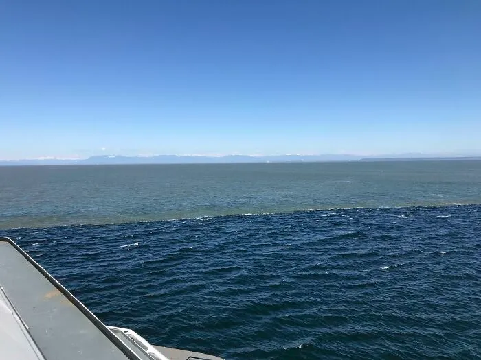 Dos corrientes diferentes se encuentran en la costa de Vancouver, Columbia Británica