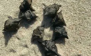 50 Times People Went To The Beach And Found Something They Least Expected (New Pics)