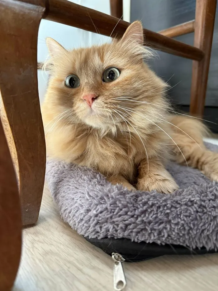 My Newly Adopted Tripod