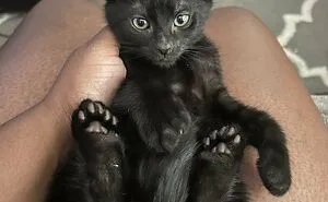 50 Adopted Animals That Are Finally Showered With Love, And It Shows (August Edition)