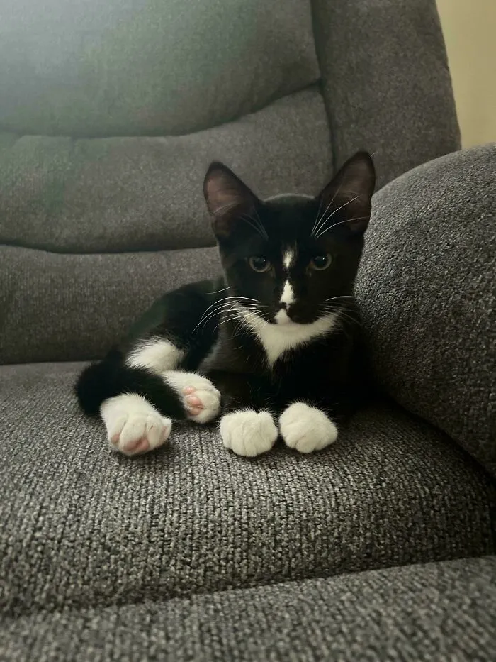New Member Of The Family