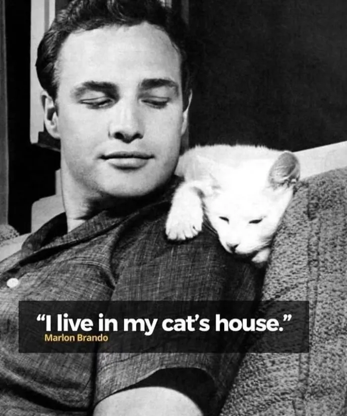 50 Fascinating Historical Photos That Might Change Your Perspective On Pets