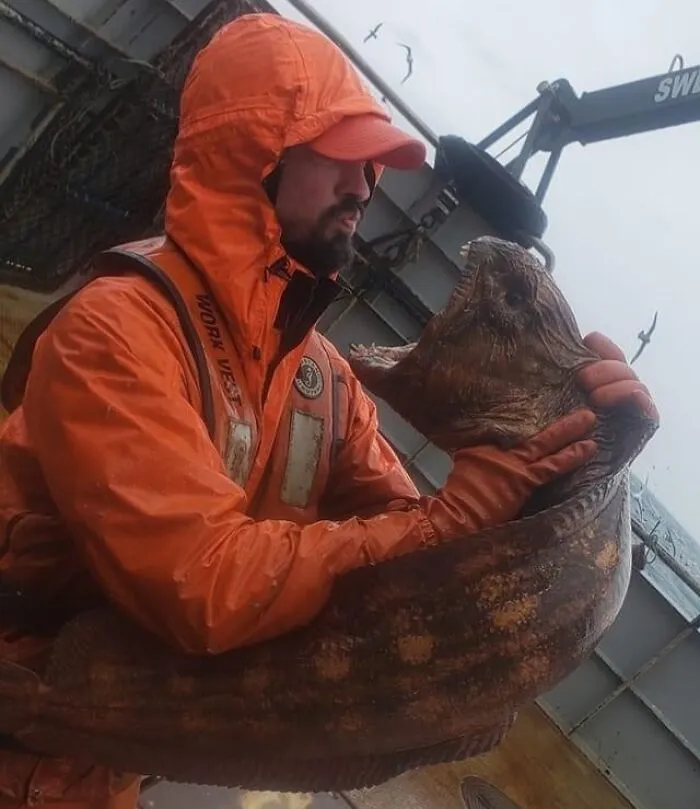 Este pescador con una anguila lobo de aguas profundas