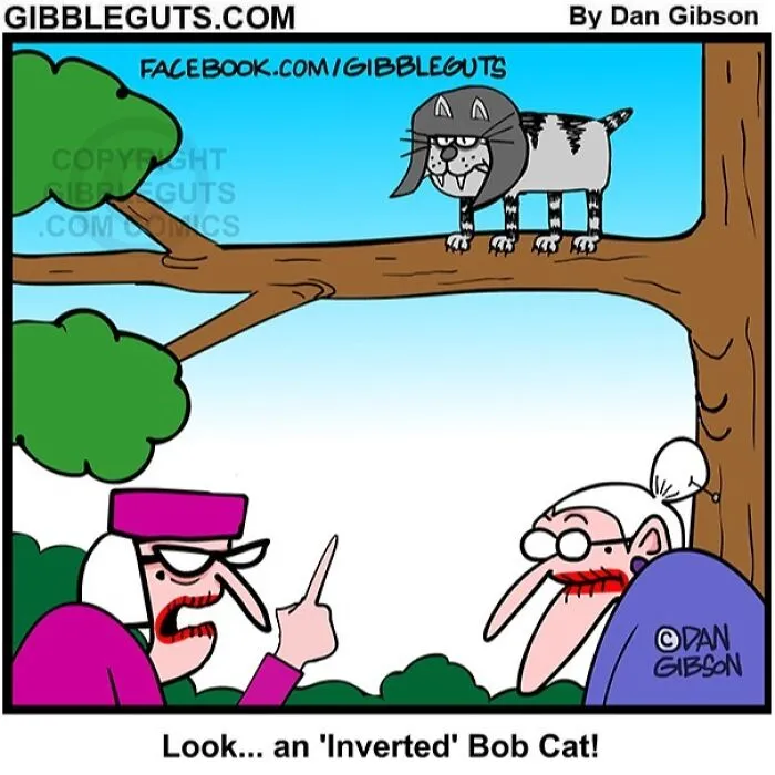 40 Hilarious One-Panel Comics About Aging, Drawn By Dan Gibson Of "Gibbleguts"