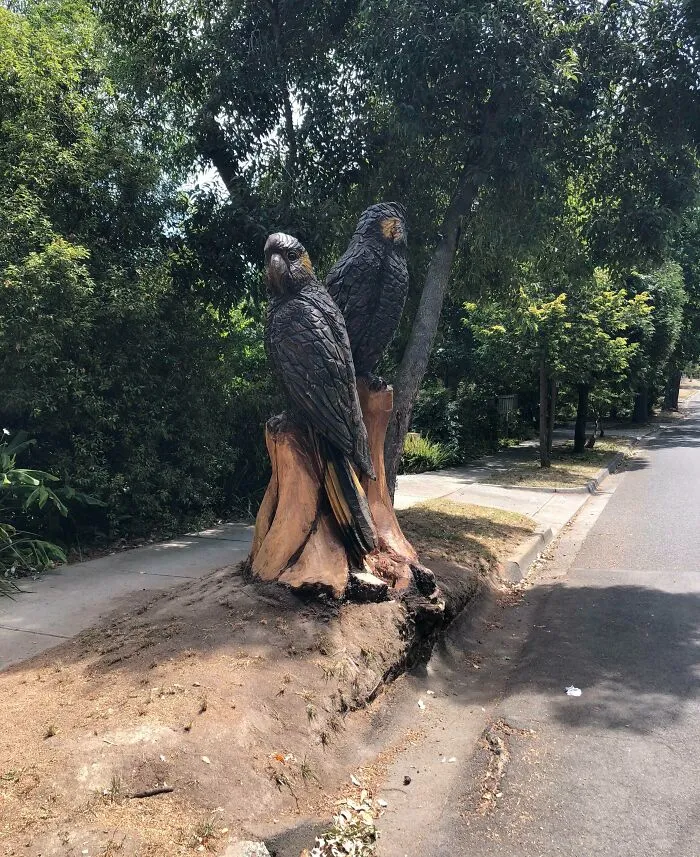 Tree Fell Down In My Street, My Neighbour Decided To Create This Masterpiece