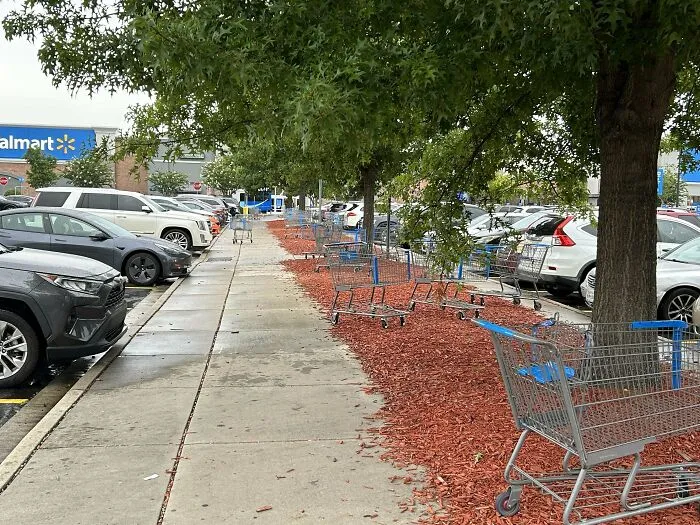“The American Laziness Epidemic” Is Always On Display At Walmart