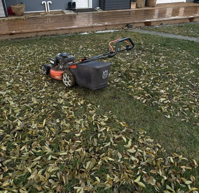 A Lawnmower Is More Effective At Picking Up Leaves Than A Rake