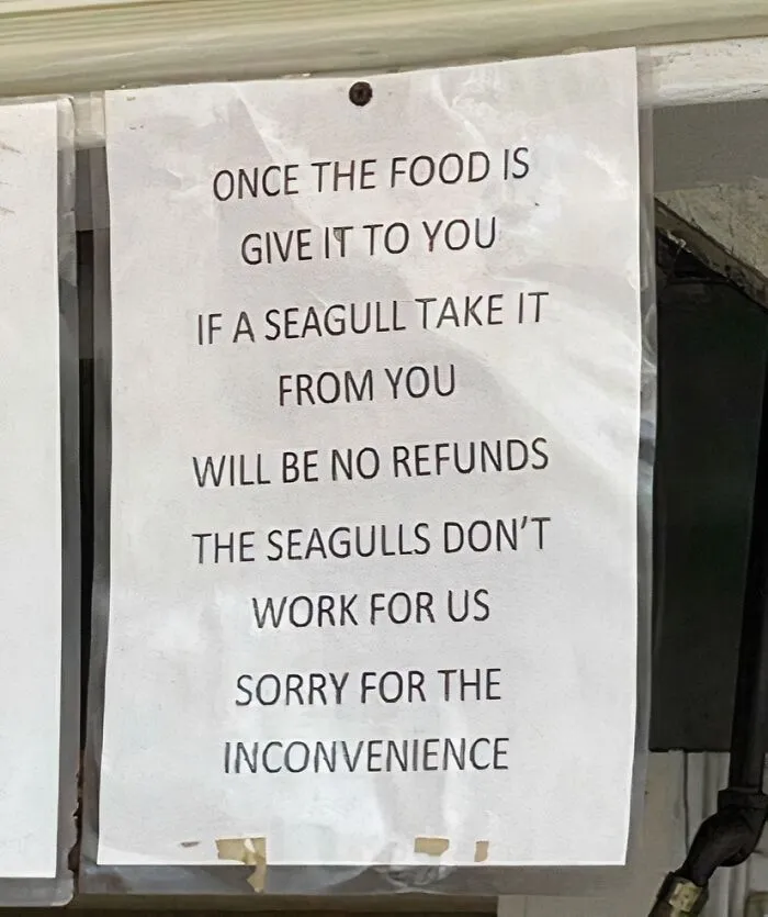 Seagulls Freelancing, No Refunds