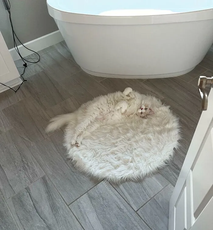 He’s Pretty Good At Blending In
