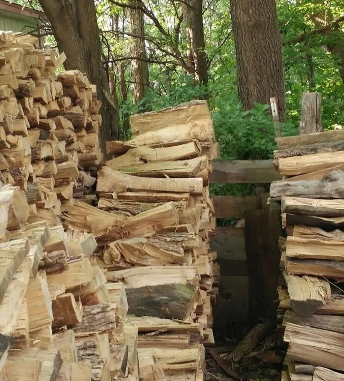 Trying To Find The Cat In This Picture. Enjoy