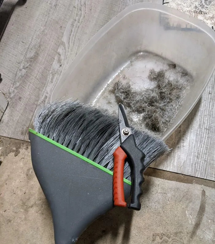 Escoba y recogedor con tijeras usados en trucos ingeniosos de la vida que la gente realmente utiliza en casa.