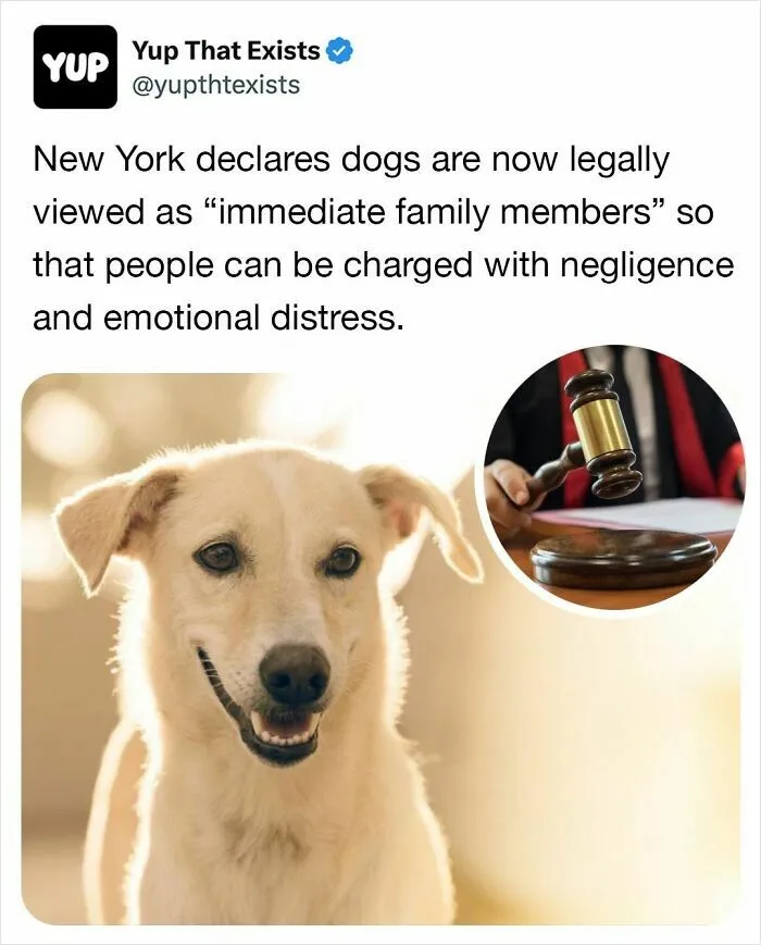 “A Legal Service Where You Pay To Completely Disappear Without A Trace”: 50 Interesting Facts (New Pics)