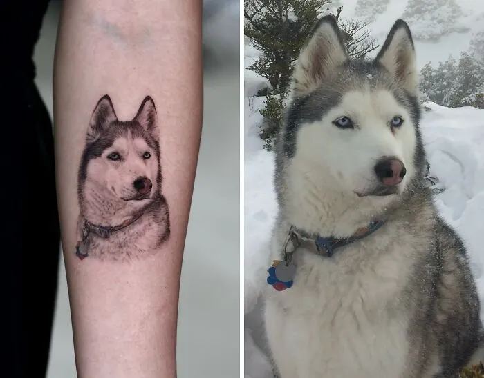 This Master Of Realism Tattoos Is Bringing People's Pets To Life On Their Skin (30 New Pics)