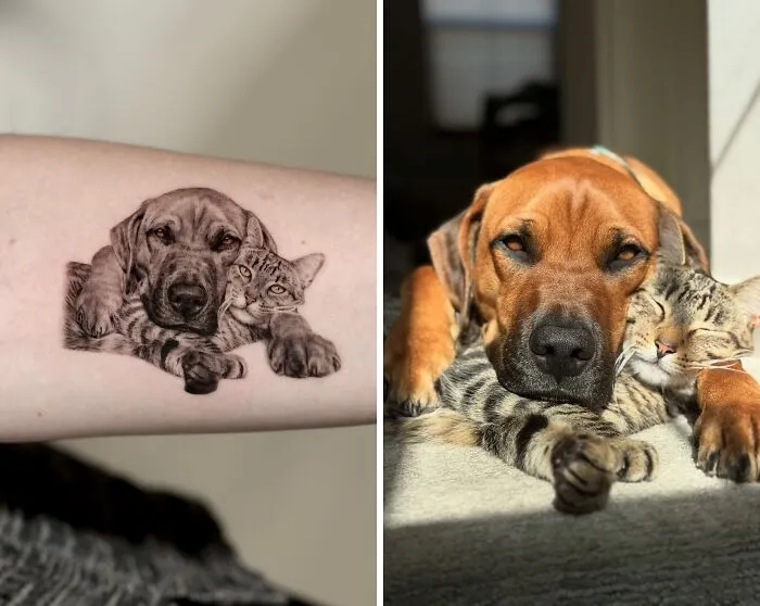 This Master Of Realism Tattoos Is Bringing People's Pets To Life On Their Skin (30 New Pics)