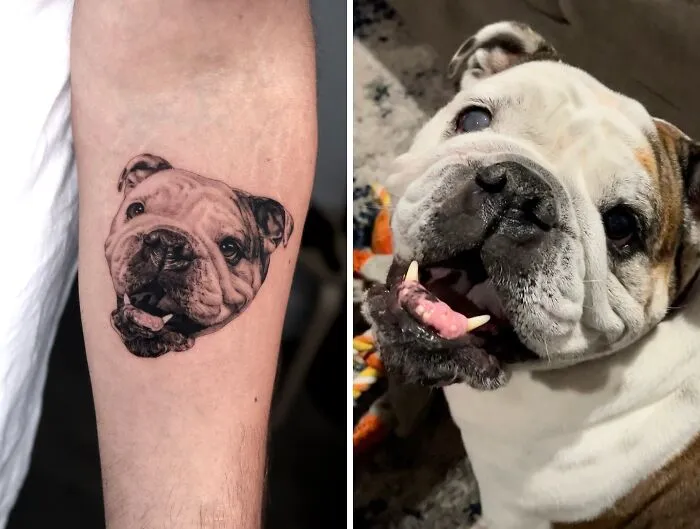 This Master Of Realism Tattoos Is Bringing People's Pets To Life On Their Skin (30 New Pics)