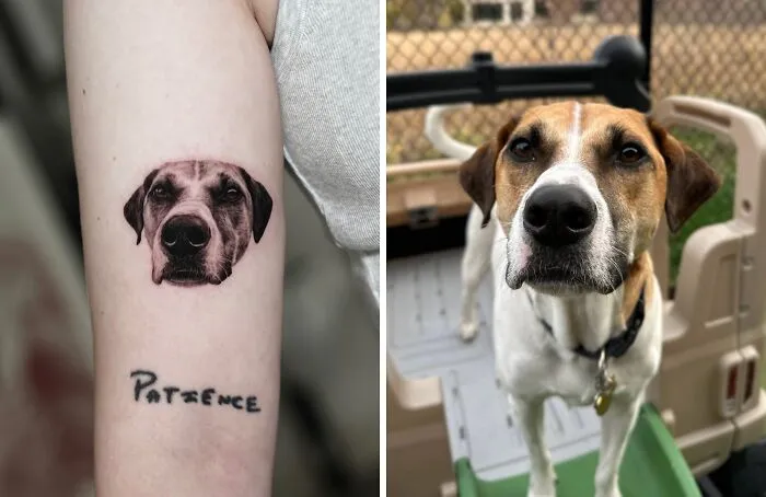 This Master Of Realism Tattoos Is Bringing People's Pets To Life On Their Skin (30 New Pics)