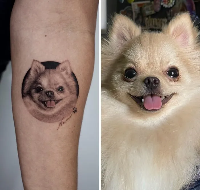 This Master Of Realism Tattoos Is Bringing People's Pets To Life On Their Skin (30 New Pics)