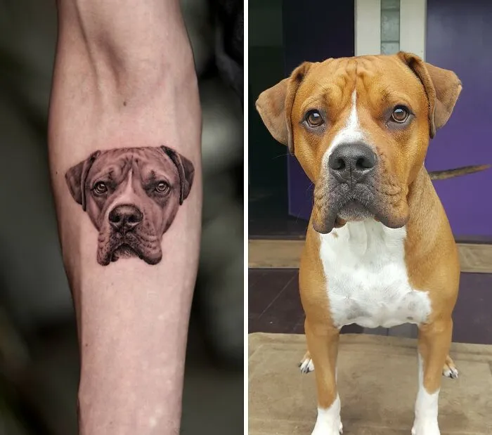 This Master Of Realism Tattoos Is Bringing People's Pets To Life On Their Skin (30 New Pics)