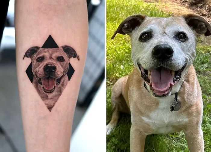 This Master Of Realism Tattoos Is Bringing People's Pets To Life On Their Skin (30 New Pics)