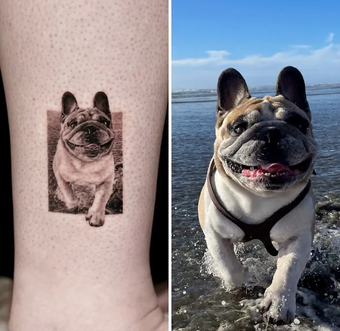 This Master Of Realism Tattoos Is Bringing People's Pets To Life On Their Skin (30 New Pics)