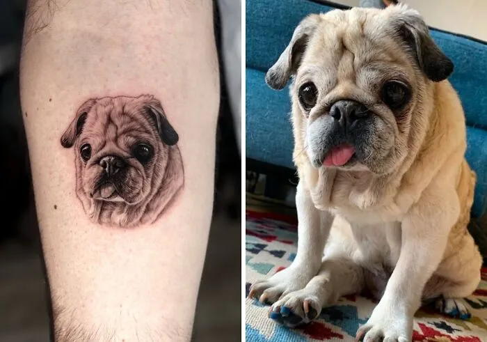 This Master Of Realism Tattoos Is Bringing People's Pets To Life On Their Skin (30 New Pics)