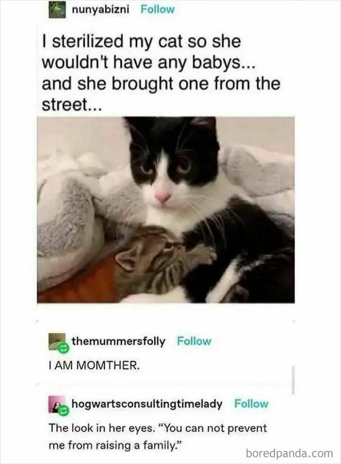 50 Uplifting And Wholesome Posts That Are As Close As It Gets To Anti-Depressants