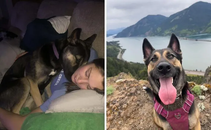 From Chained To The Side Of A House To Outdoorsy Oregon Girl!