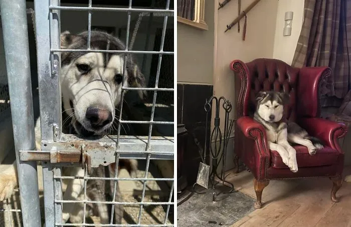 From Cypriot Streets And An Abandoned Box, To Scottish Highlands
