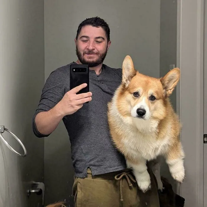 I'm Not Sure That's A Corgi Anymore