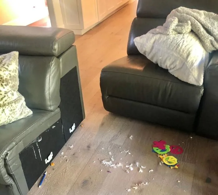 Alexis Bellino Posted An Instagram Picture Of The Dirty Floor Under Her Couch
