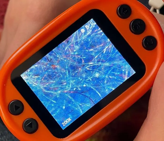 Your Curious Kid Can Dive Into The Unseen World Of Backyard Bugs And Tiny Textures With A Portable <a Style="Display:inline;" Href="Https://Www.amazon.com/Handheld-Microscope-Rechargeable-Microscopes-Portable/Dp/B0d1bzlqmy?ie=utf8&linkcode=ll1&tag=bpkoala-20&linkid=a4481f45d157ca1b1d89e5243b739681&language=en_us&ref_=as_li_ss_tl" Target="_blank">  <span Style="Font: Inherit; Color: #d74b1f;"> Handheld Microscope For Kids</Span>