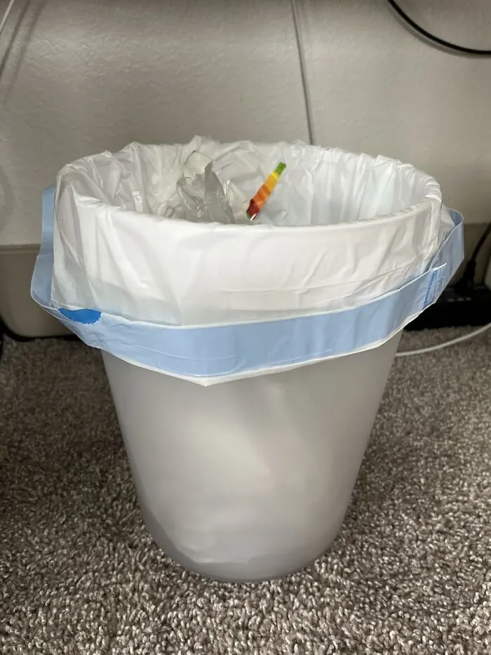 Buying This <a Style="Display:inline;" Href="Https://Www.amazon.com/Hefty-Small-Trash-Fabuloso-Gallon/Dp/B0c3wtyz3g?ie=utf8&th=1&linkcode=ll1&tag=bpdog-20&linkid=17fc4bd24f137f1f2e2dfdf6ac9956a5&language=en_us&ref_=as_li_ss_tl" Target="_blank">  <span Style="Font: Inherit; Color: #d74b1f;"> 52 Pack Of Trash Bags </Span> Might Be The Most Responsible Thing You Do All Semester, Which Feels About Right