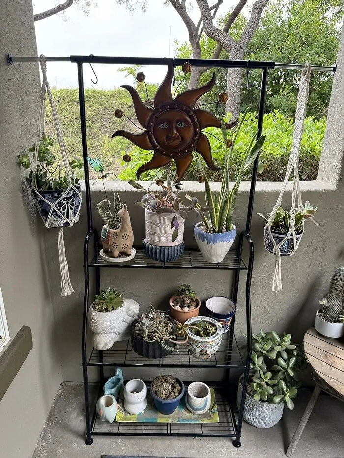 Let's Not Let Your Plant Babies Huddle On The Floor Like They're Waiting For A Bus; Give Them A Literal Glow-Up On Their Own Fancy Stage, A.k.a A <a Style="Display:inline;" Href="Https://Www.amazon.com/Simple-Trending-Outdoor-Hanging-Multiple/Dp/B0cn2bs54h?ie=utf8&linkcode=ll1&tag=bpsheep-20&linkid=0274582f57de8836e558f8e6002a57ef&language=en_us&ref_=as_li_ss_tl" Target="_blank"> <span Style="Font: Inherit; Color: #d74b1f;"> Metal Indoor Plant Stand </Span>