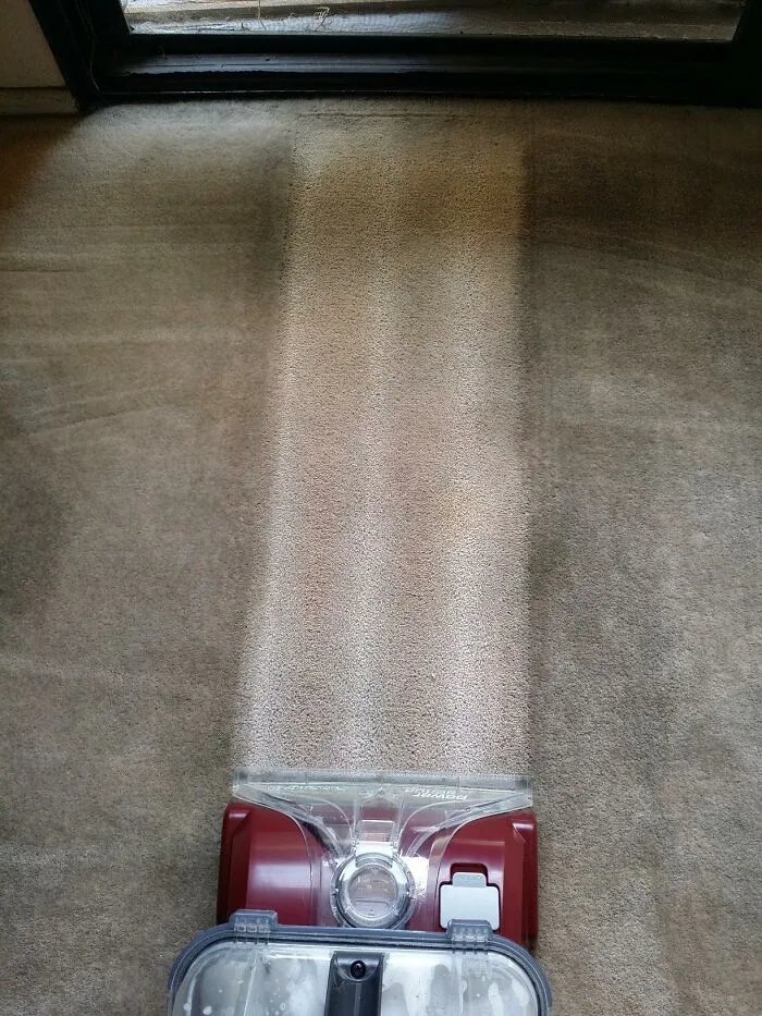 Those Suspicious Stains Your Pet Left On The Carpet Can Vanish Before Your In-Laws Even Spot Them With <a Style="Display:inline;" Href="Https://Www.amazon.com/Carpet-Miracle-Concentrated-Solution-Deodorizing/Dp/B00wimuvu2?ie=utf8&th=1&linkcode=ll1&tag=bpraccoon-20&linkid=cbae257047dd2a795294db9bbc090c57&language=en_us&ref_=as_li_ss_tl" Target="_blank"> <span Style="Font: Inherit; Color: #d74b1f;"> Sunny & Honey Carpet Miracle</Span>