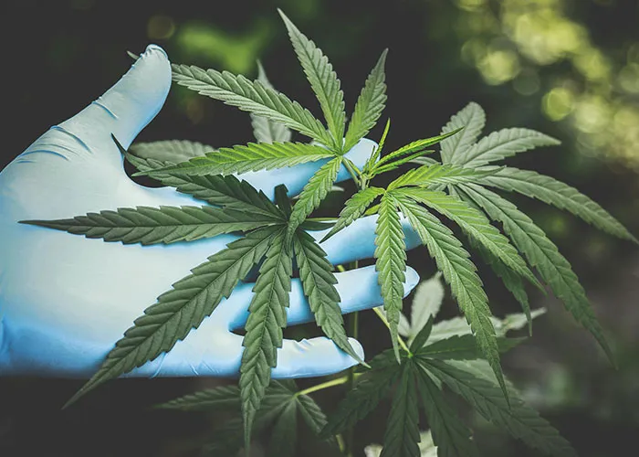 30 Crimes So Common They Barely Feel Illegal Anymore