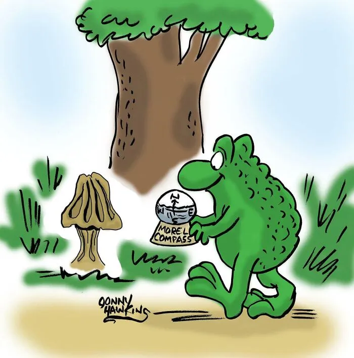 44 Short And Sweet Cartoons By Jonny Hawkins That Nail Everyday Humor (New Pics)