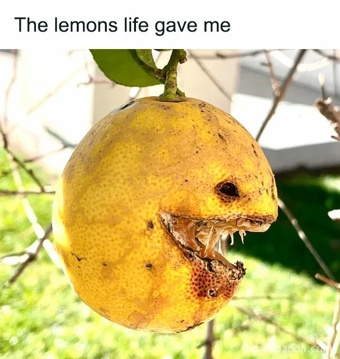 50 Hilariously Dark Memes For People Who Laugh In The Void