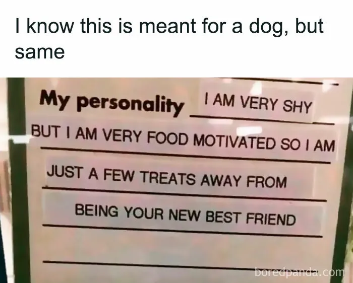 50 Posts Ranging From Hilarious To Highly Relatable