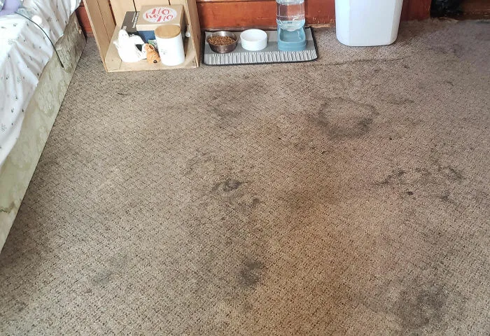 36 People Reveal Home Visits That Left Them Wondering If They Were On A Hidden Camera Show
