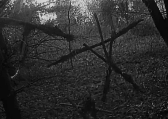 “Still Scares Me”: 47 People Who Couldn’t Sleep For Days After Spending Time In The Woods