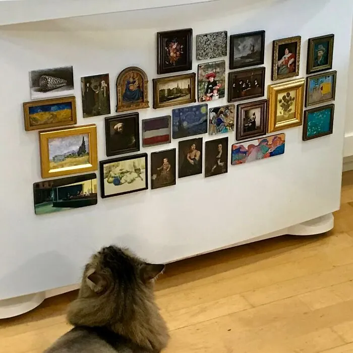 I Collect Art Magnets From Museums And Put Them On The Bottom Of My Fridge So My Cat Can See Them😻🖼️