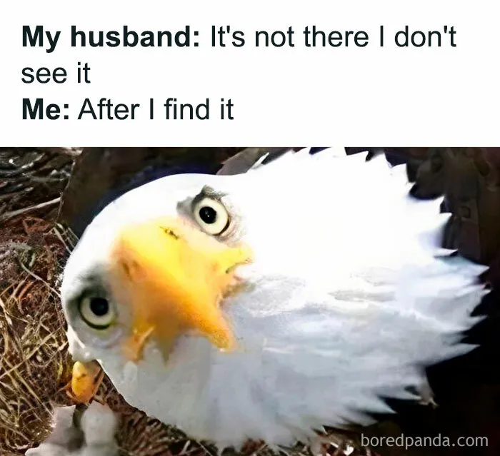 50 Parenting Memes That Might Make You Laugh, Cry, And Question Your Life Choices
