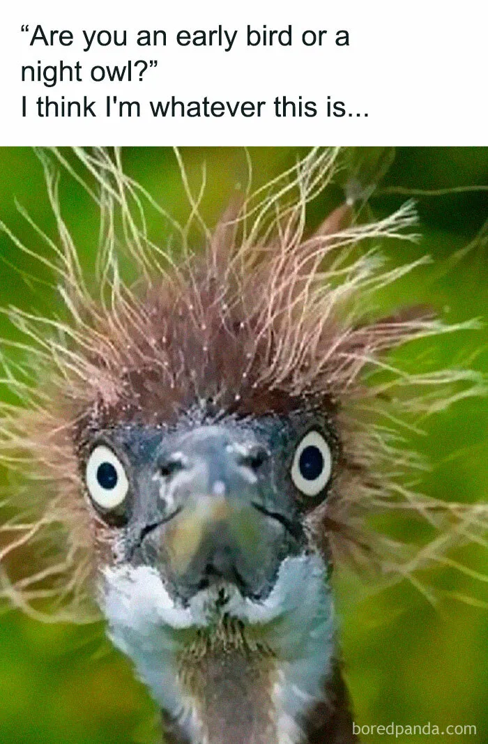 50 Parenting Memes That Might Make You Laugh, Cry, And Question Your Life Choices
