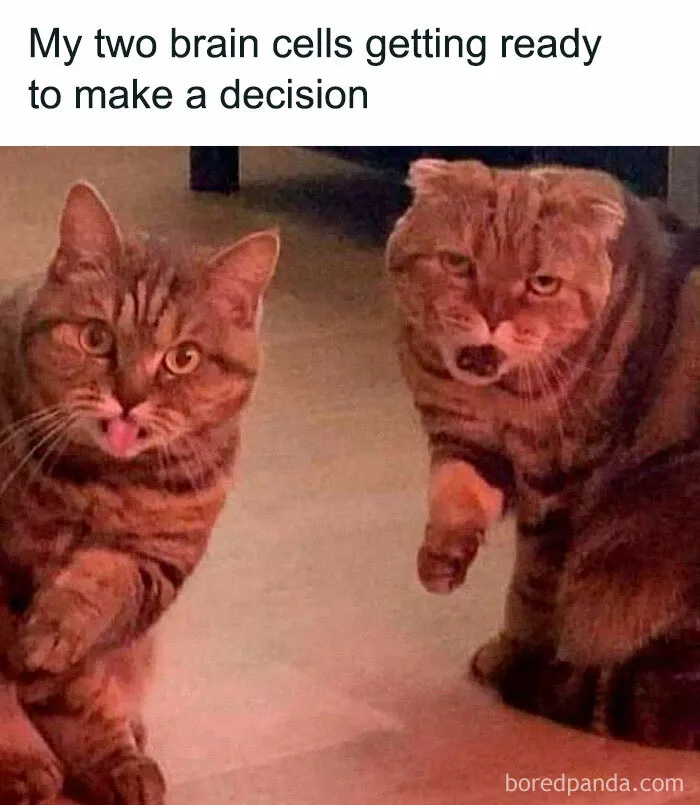 This Instagram Page Nails Antisocial Humor, Here Are 50 Of Their Best Memes