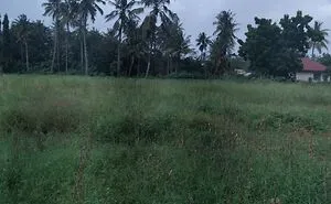 I Bought Land In Tanzania And Found Out I Also Own… A Stranger’s House And Their Dog Thinks I’m The Intruder