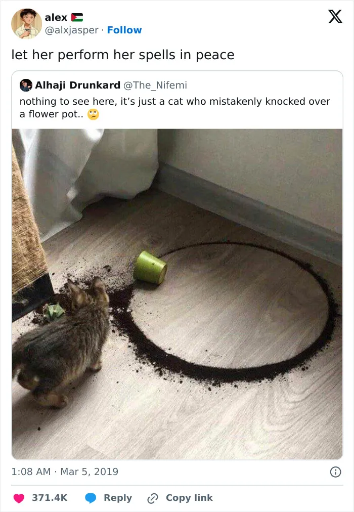 A cat sitting near spilled soil in a circle on the floor, a funny and cute animal meme causing smiles.