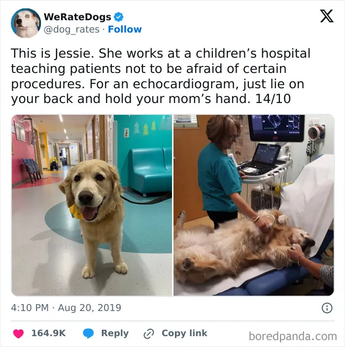 50 Medical Memes That Are Painfully True
