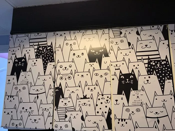 I Am All About Whimsy. I Painted My Ugly Laundry Room Cabinet Black And Wall Papered The Doors